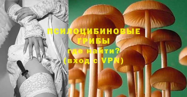 PSILOCYBIN Армянск